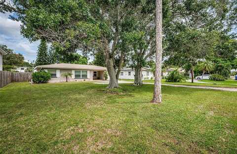 Hibiscus, SOUTH PASADENA, FL 33707