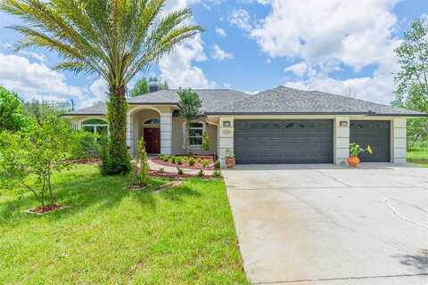 Haystack, WESLEY CHAPEL, FL 33543