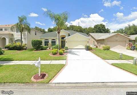 Split Fork, OLDSMAR, FL 34677
