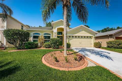 Split Fork, OLDSMAR, FL 34677