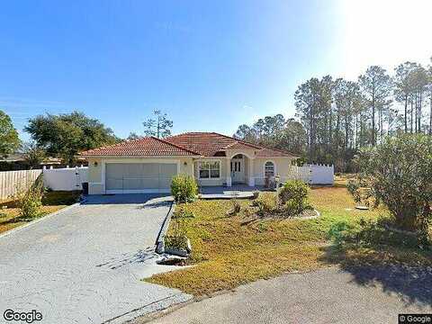 Rainbush, PALM COAST, FL 32164