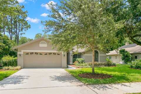 Willowick, SAFETY HARBOR, FL 34695