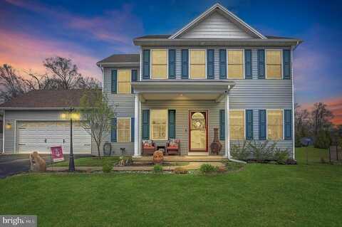 Thoroughbred, YORK HAVEN, PA 17370