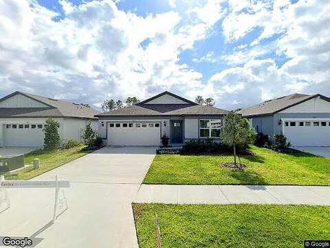 Pine Tree, LAKE ALFRED, FL 33850