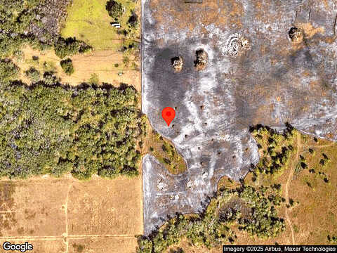 Peony, LAKELAND, FL 33811