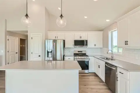 Aster, BUFFALO, MN 55313