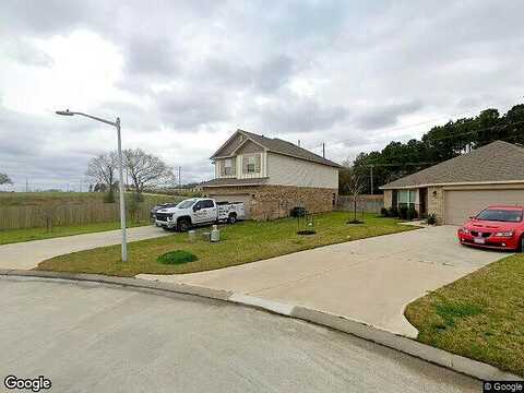 Terra Vista, MONTGOMERY, TX 77356