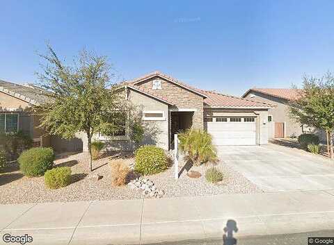 Desert Broom, CHANDLER, AZ 85286