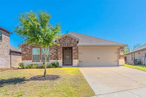 Buttonbush, ROYSE CITY, TX 75189
