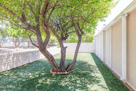 Lopez Link, SIERRA VISTA, AZ 85650