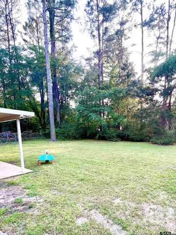 Northgate, HIDEAWAY, TX 75771