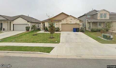 Fig Tree, NEW BRAUNFELS, TX 78130