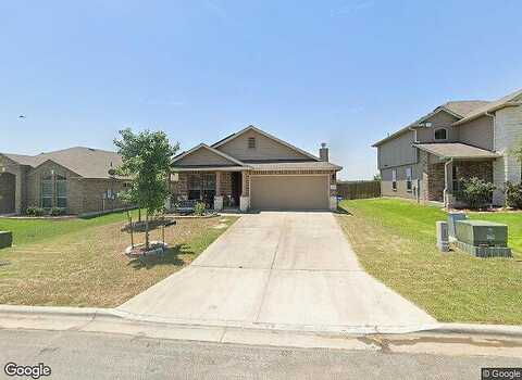 Druse, JARRELL, TX 76537