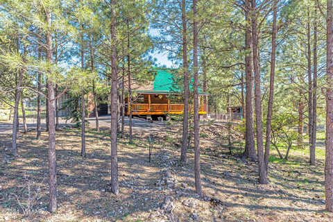 Twin Pines Trl, Overgaard, AZ 85933