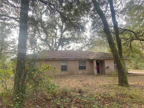 Gus Gordon, HAWTHORNE, FL 32640