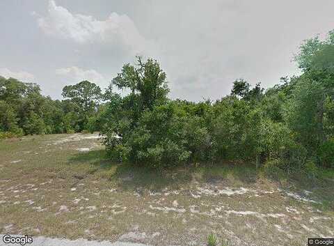 Bowfin, KISSIMMEE, FL 34759