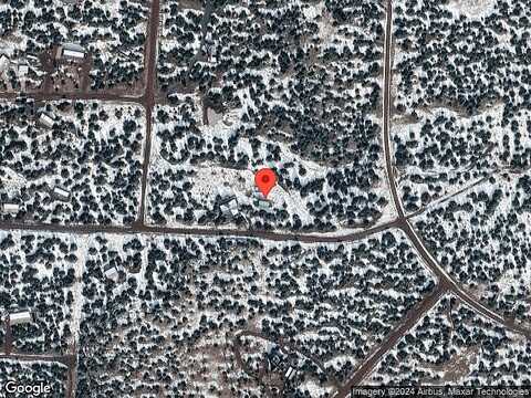Fir, WILLIAMS, AZ 86046