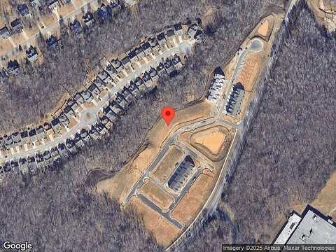 Gray Birch, FLOWERY BRANCH, GA 30542