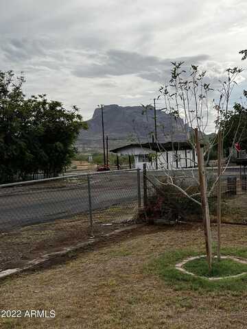 Palo Verde, SUPERIOR, AZ 85173