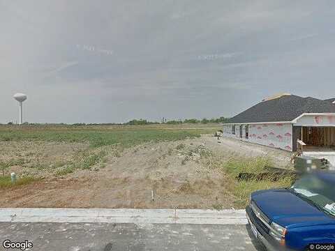 Snow Owl, BUDA, TX 78610