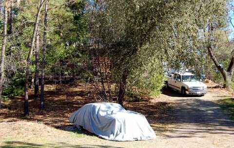 Pine, COULTERVILLE, CA 95311