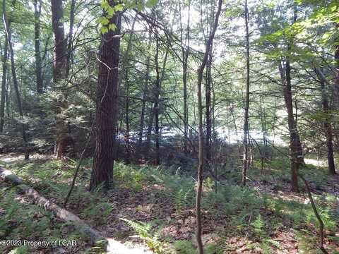 Sleepy Hollow, DRUMS, PA 18222