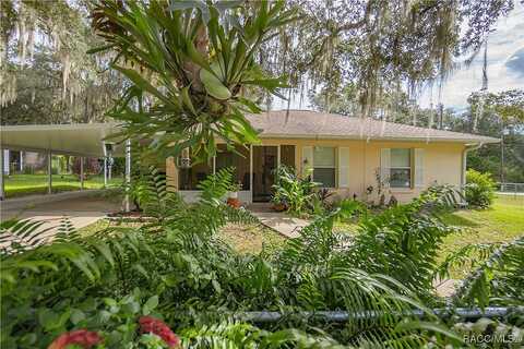S Dove Drive, Floral City, FL 34436