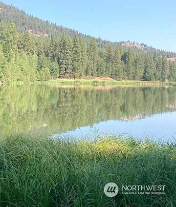 Woodland Dr, Republic, WA 99166