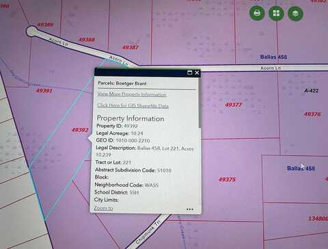 Acorn Ln, Shepherd, TX 77371