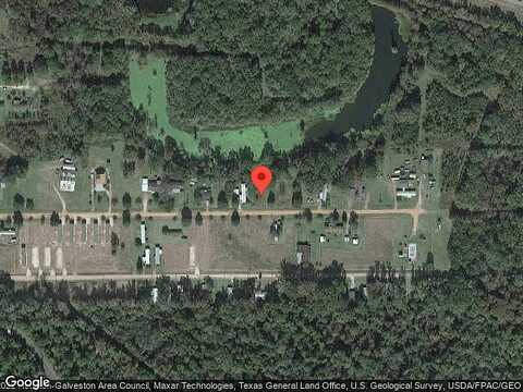 Wood Fern, CLEVELAND, TX 77327