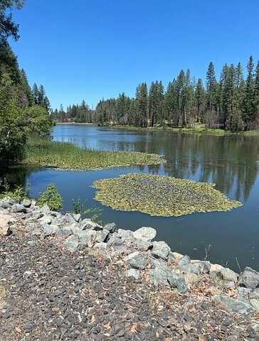 Lakeside Way, Berry Creek, CA 95916