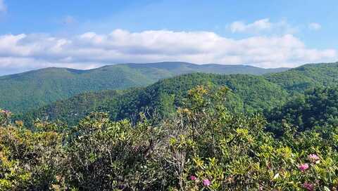 Bearwallow Ridge Trl, Maggie Valley, NC 28751