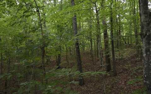 Lot 15 Smoky Mtn Ridge, Murphy, NC 28906