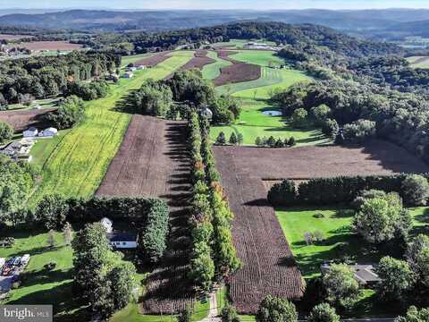 Little, SEVEN VALLEYS, PA 17360
