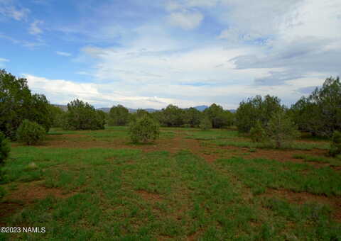 W Cumberland, Williams, AZ 86046