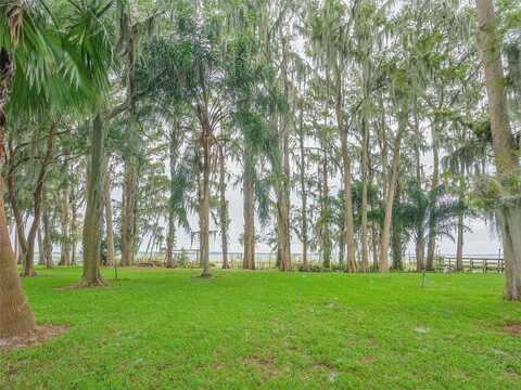 Cypress, EUSTIS, FL 32726