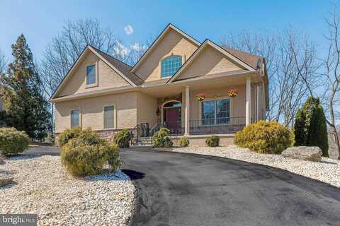 Cherry, EASTON, PA 18040