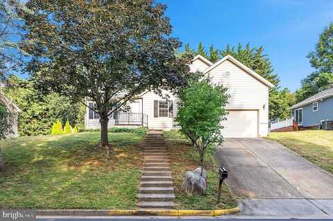 Daniel, WINCHESTER, VA 22601