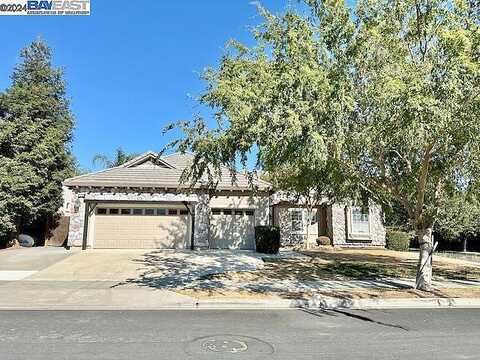 Gold Poppy, BRENTWOOD, CA 94513