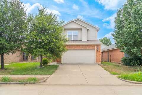 Brown Fox, FORT WORTH, TX 76244