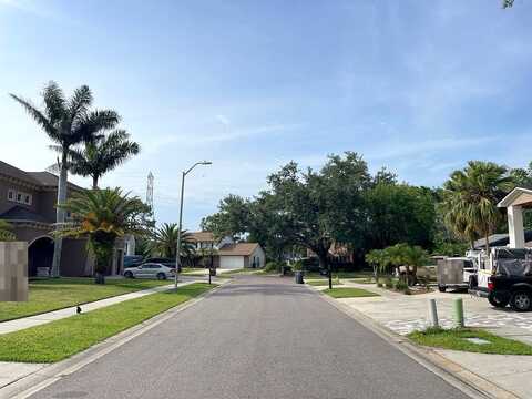 Apple Ridge, TAMPA, FL 33624