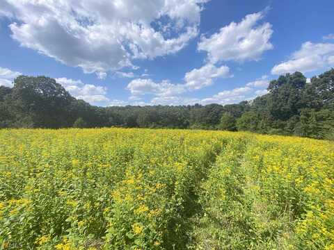 Highway 98, MAYSVILLE, GA 30558