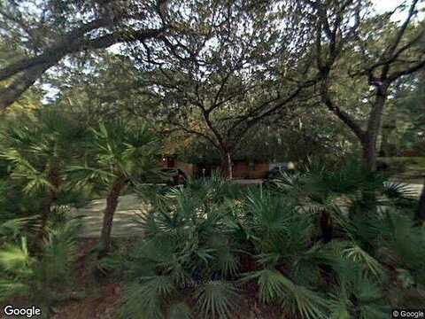 Camelia, SAINT AUGUSTINE, FL 32086