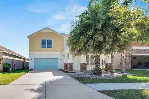Little Blue Heron, RIVERVIEW, FL 33579