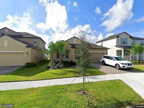Satin Lily, RIVERVIEW, FL 33579