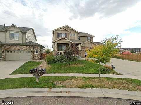 Chicory, BRIGHTON, CO 80601