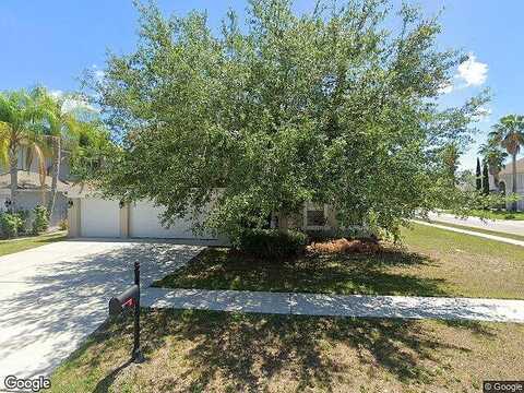 Souter, LAND O LAKES, FL 34638