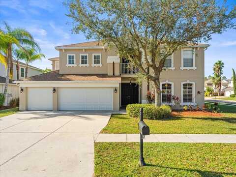 Souter, LAND O LAKES, FL 34638