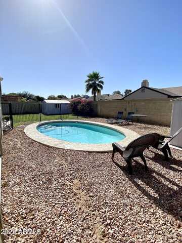 Lupine, GLENDALE, AZ 85304