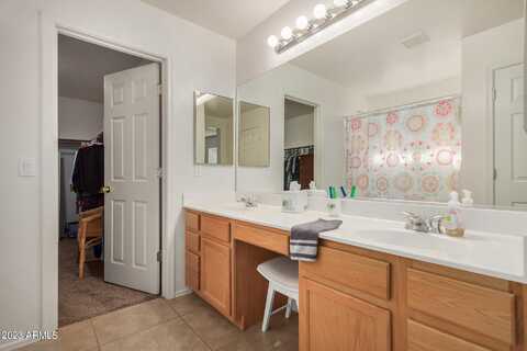 Falcon, GILBERT, AZ 85295